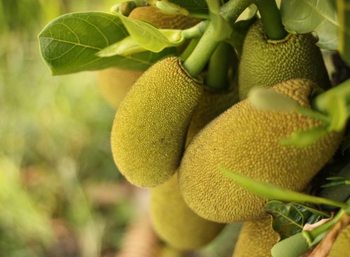 85a091e5 ba23 4260 89ac 74be1d42e0ec 1