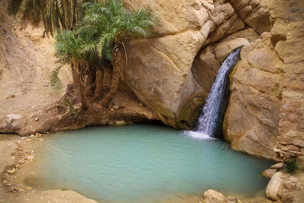 Chebika Oasis