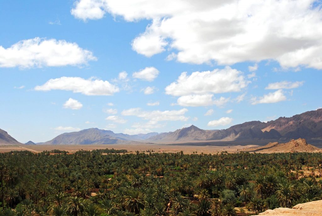 Figuig Oasis