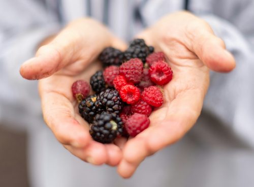 ac4278b4 111b 41f9 bd7e 1180860dff89 1 1