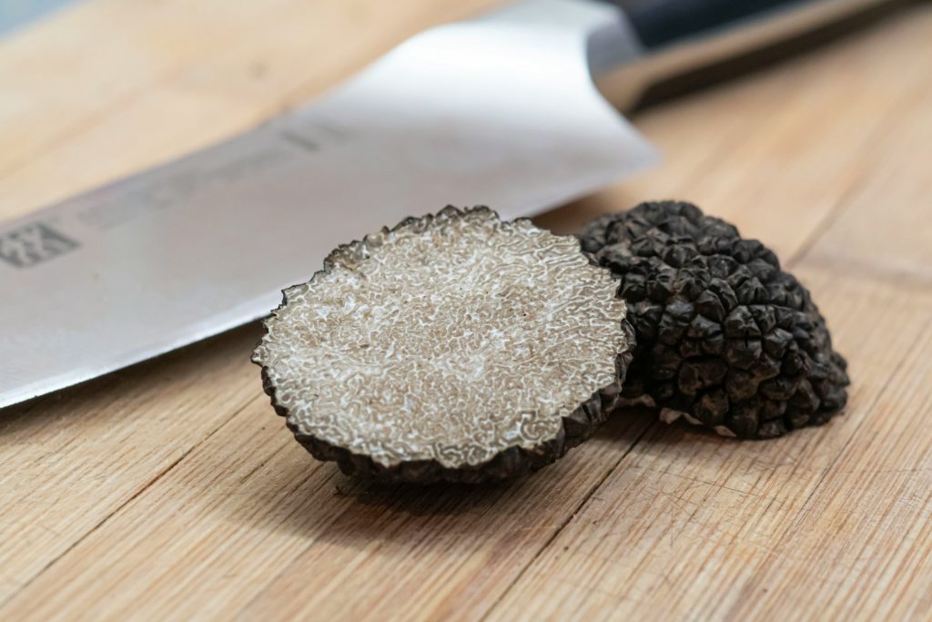 15 Best Places to Visit for Truffle Hunting