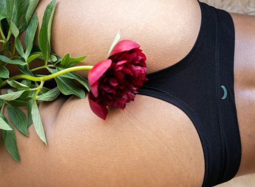 red rose on persons lap