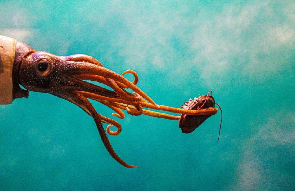 fa2154cb 2c06 45de 8a74 95007a14d5c6 1