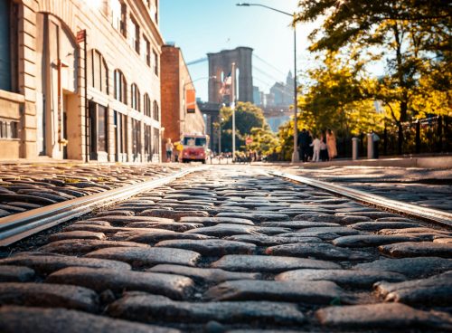 gray bricks road between tall trees and building
