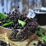 15 Best Health Benefits of Elderberry for women
