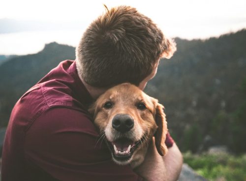 photo of man hugging tan dog
