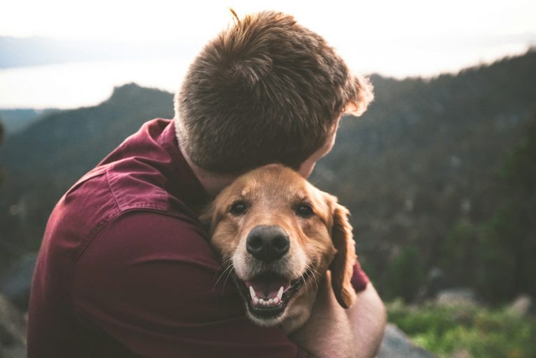 Can Dogs Differentiate Between Human Adults and Babies?