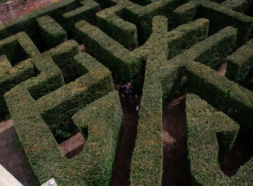 person in black jacket walking on green grass field