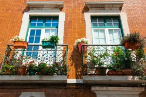 How can I create a wildlife-friendly environment on my balcony?