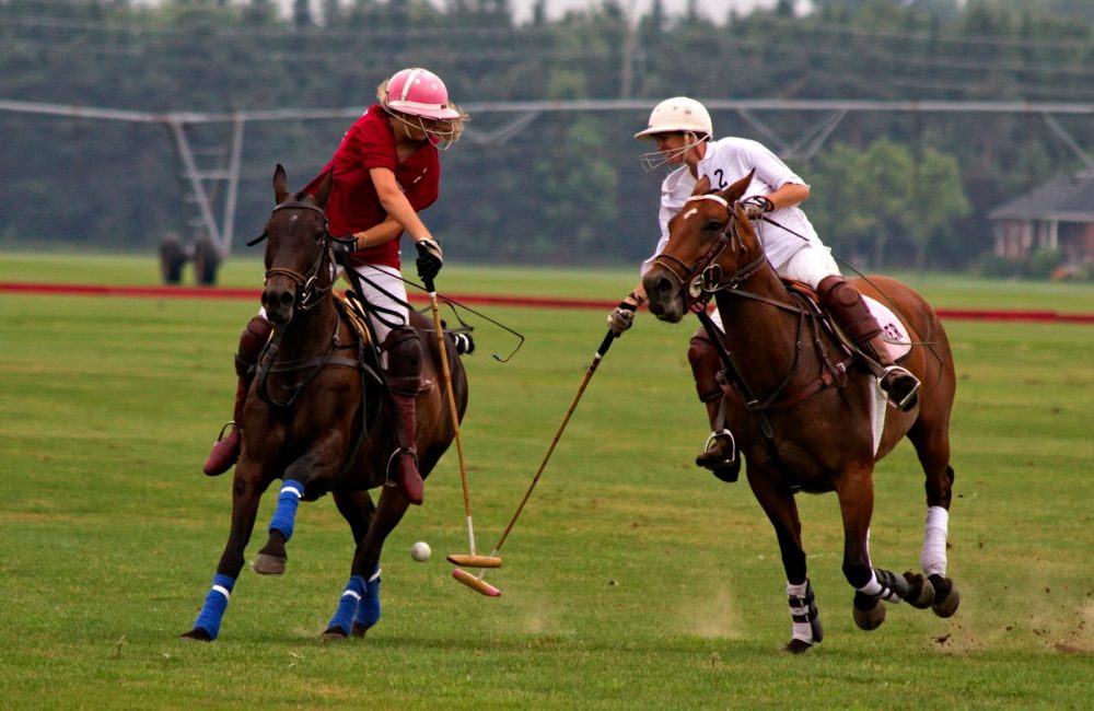 shallow focus photography of two man competing at the polo pony