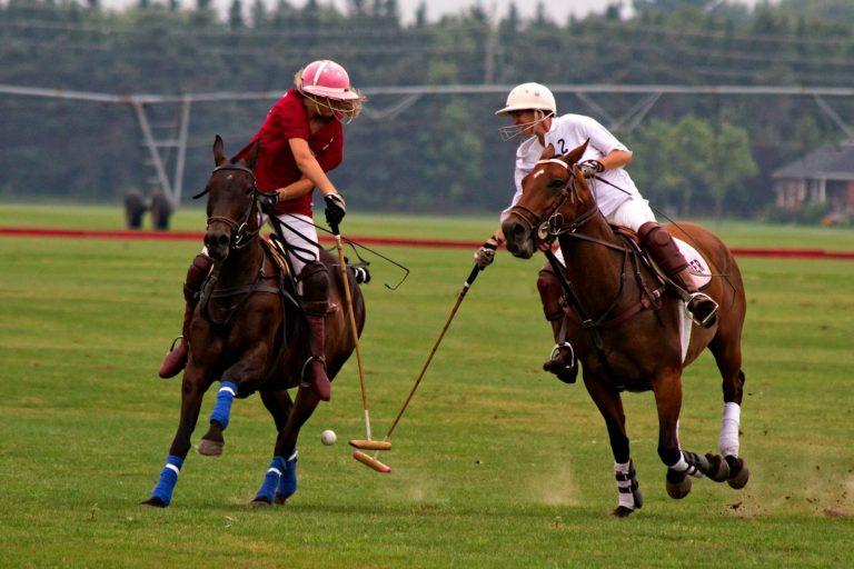 13 Best Places to Visit for Polo Matches