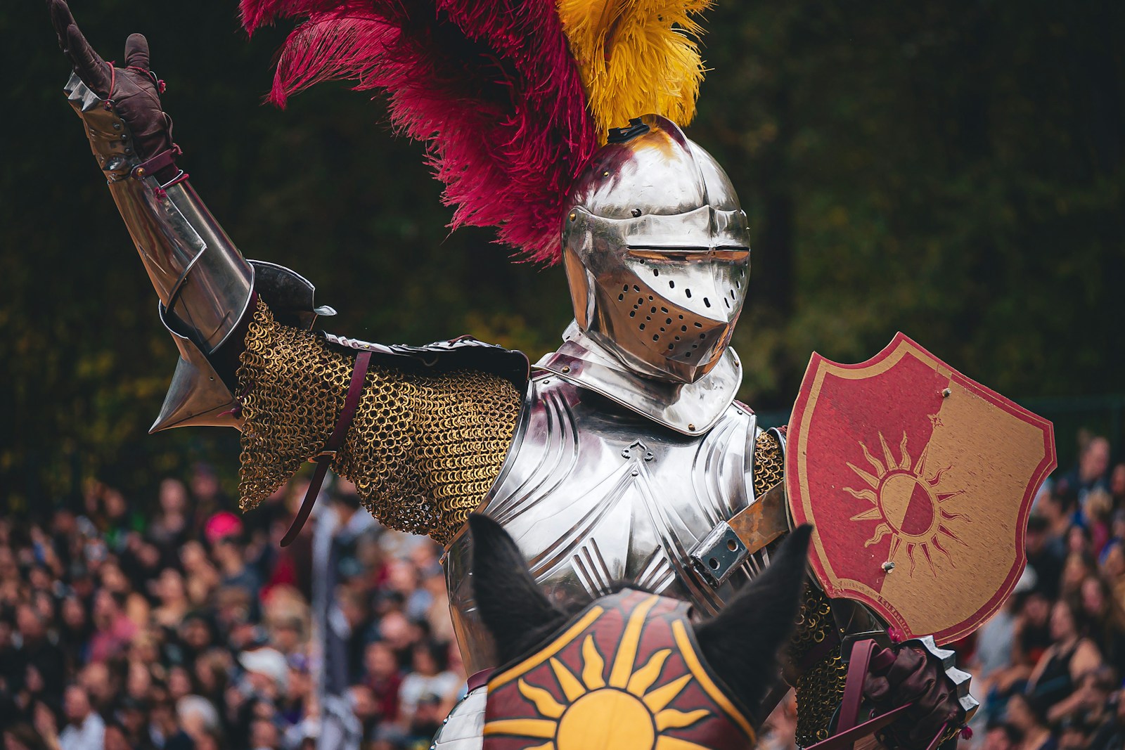 a man dressed in armor and holding a shield