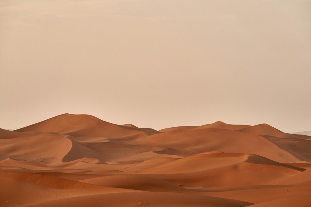 10 Best Places to Visit for Desert Adventures