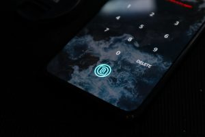 How do Biometric Systems Work