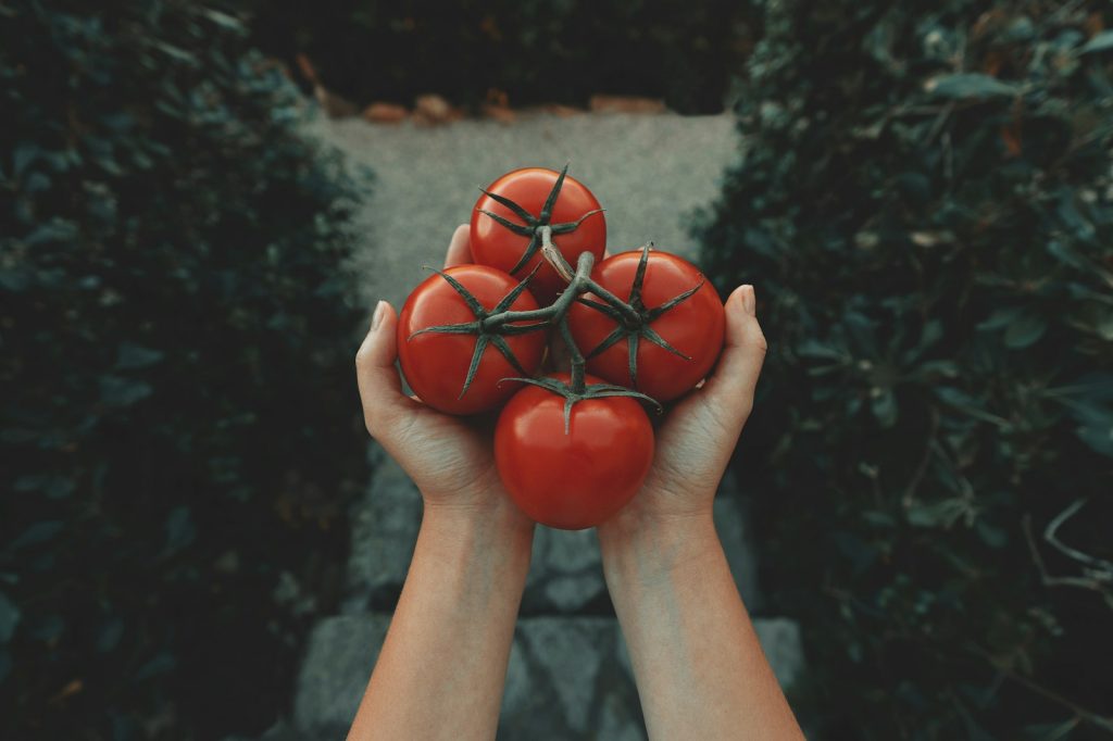 Are canned tomatoes nutritious? 1 Are canned tomatoes nutritious?
