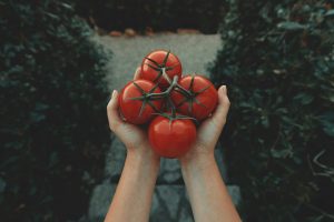 Are canned tomatoes nutritious?
