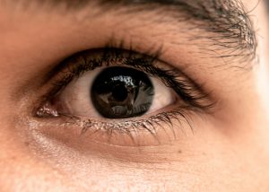 Why Do We Have Eyelids? Examining the Protective and Functional Roles of Eyelids in Eye Health
