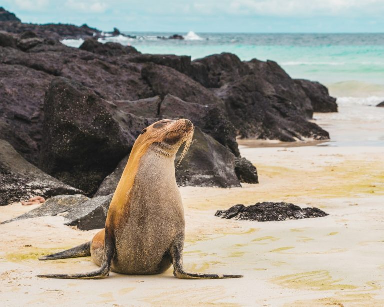 10 Top-Rated Eco-Tours for Nature Enthusiasts
