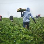 10 Best Places to Visit for Organic Farming Tours