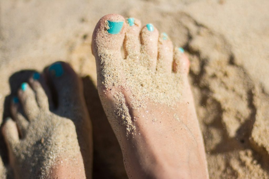 Toenails: Uncovering Their Vital Evolutionary and Functional Roles