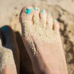Why Do We Have Toenails? Investigating the Evolutionary and Functional Significance of Toenails