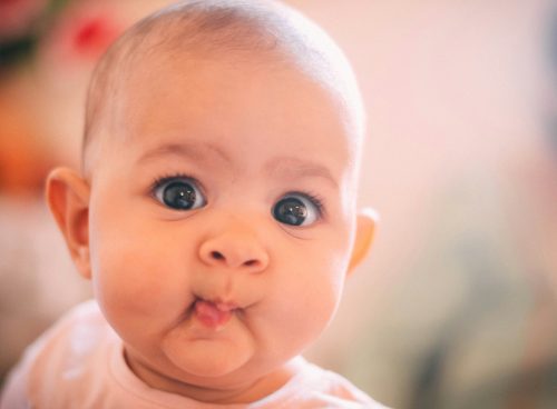 fc429230 42d4 4710 8e50 f7fc964c563a 1