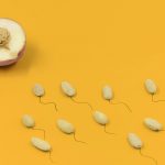 What Should Men Eat to Increase Sperm Count and Quality?