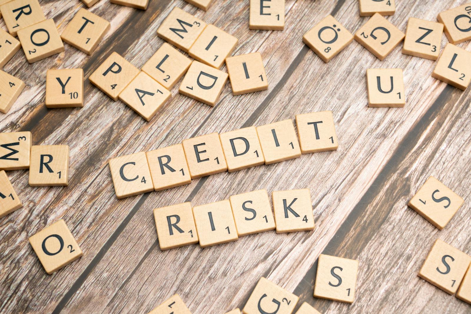 What's the Difference Between a Credit Report and a Credit History? 1 Credit risk management