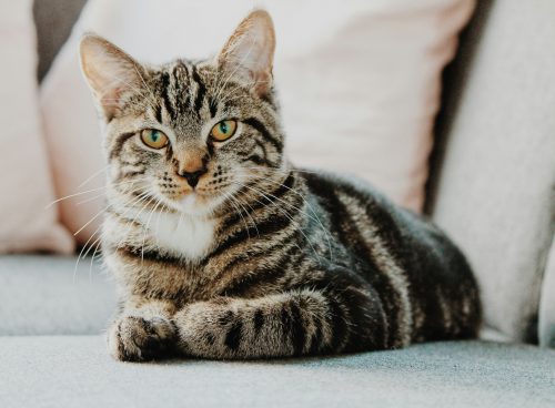 2542b280 e689 41c3 8ad8 18bc219de162 1