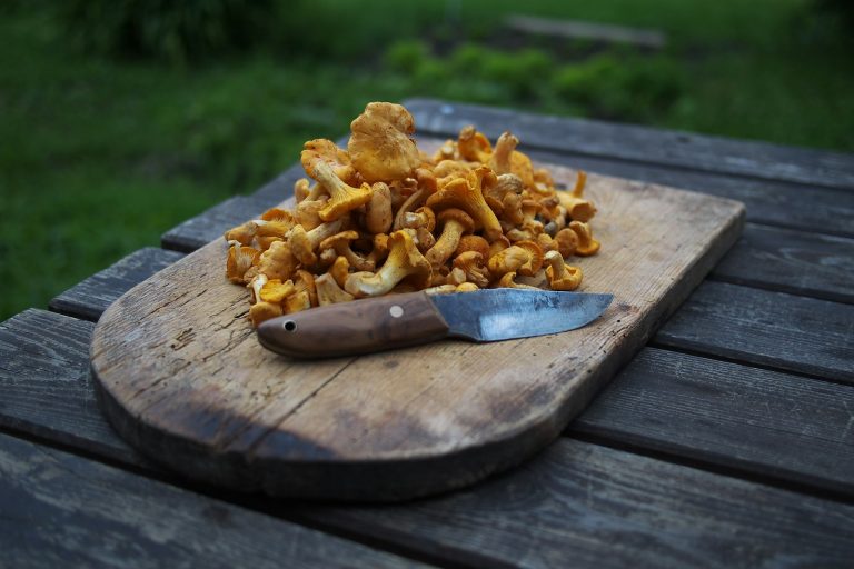 Are canned mushrooms good for you?
