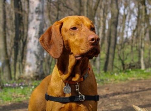 58e98d8c a331 42b9 8dce 2a5dcd6cdb45 1