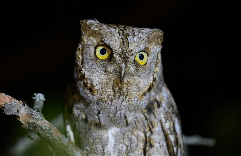 805912d0 383e 435b b16d 0cff8f952302 1