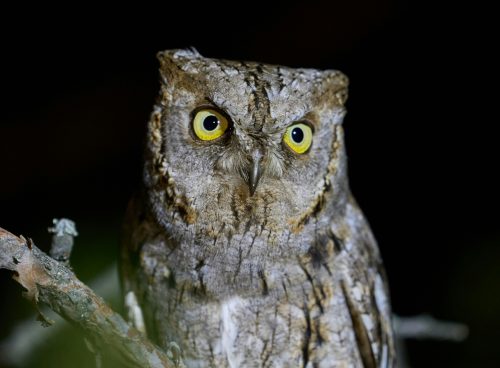 805912d0 383e 435b b16d 0cff8f952302 1