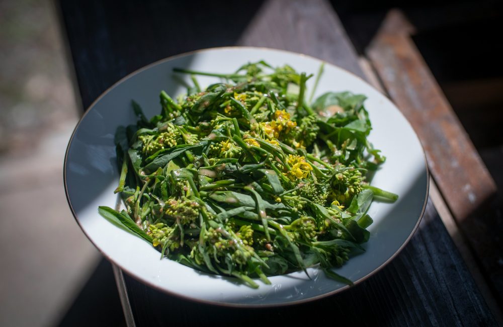 95c257c8 6173 439e 86e4 3832b42bc21b 1