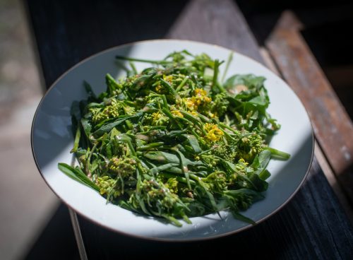 95c257c8 6173 439e 86e4 3832b42bc21b 1