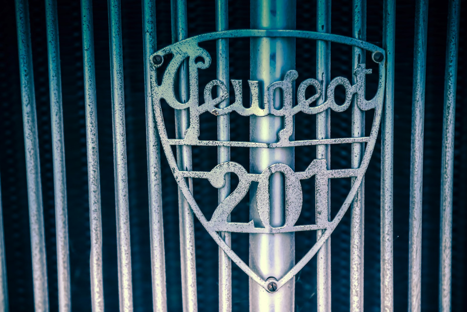 Why French Cars Failed in the United States 1 black metal gate with white metal grill