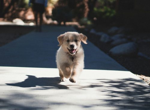 d4b1f941 3084 4b20 b7e8 f30978c223cd 1