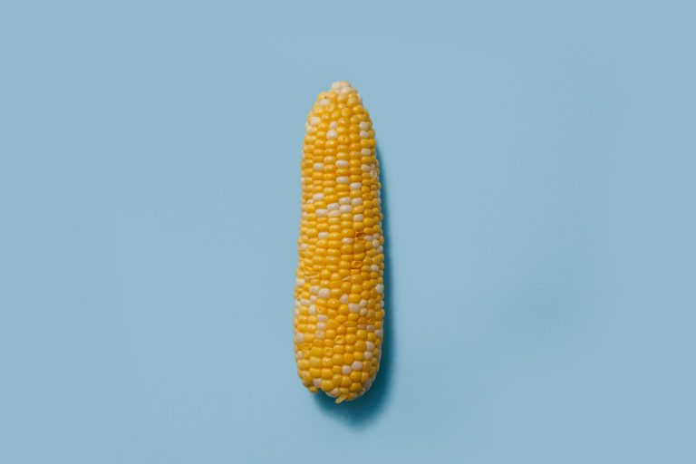 Is canned corn healthy for you?
