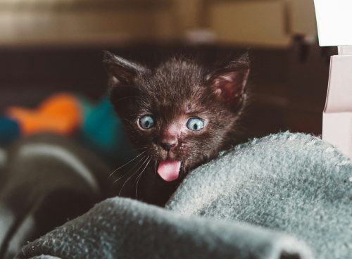 e1c44db9 a5e6 450b bfc4 6e952da78582 1