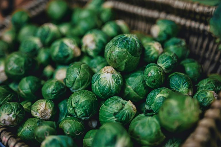 Are canned Brussels sprouts good for you?
