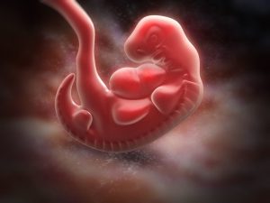 Why Are Some Babies Born With a Tail?