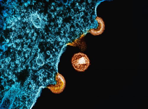 a close up of a wave on a beach