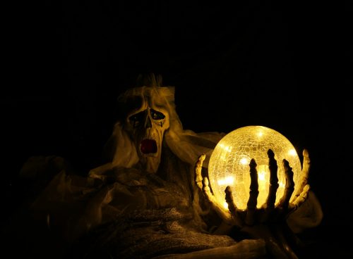 white and black skull on brown wooden surface