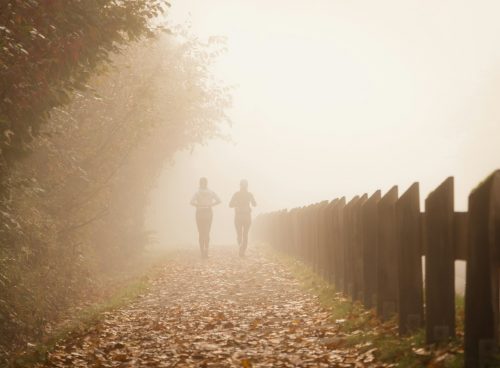 woman in white dress walking on pathway between trees during daytime