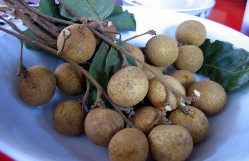 Longan fruit