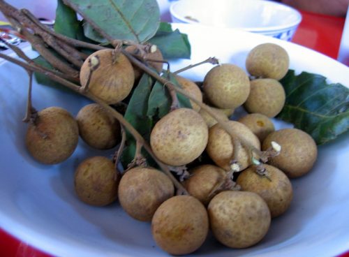 Longan fruit