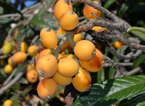 091e1f95 44c5 4ce6 a54d ccc815bf5756