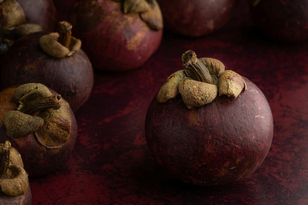 11 Best Health Benefits of Mangosteen for Women 1 11 Best Health Benefits of Mangosteen for Women