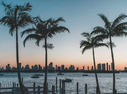 11d6c209 6708 484e 8b68 3d99ca95f585 1