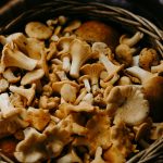 15 Best Selenium-Rich Foods for People with Thyroid Issues